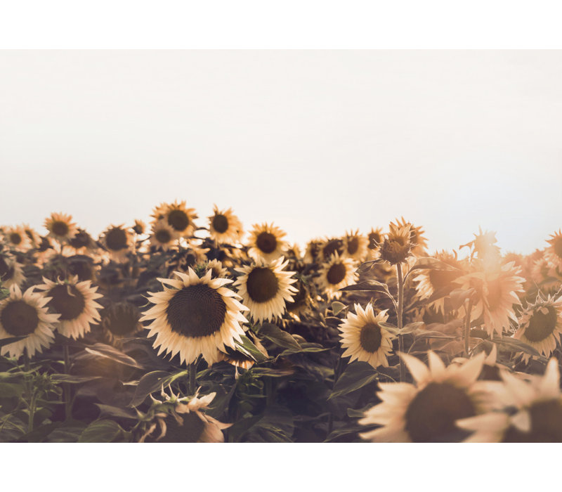 Wrapped Canvas Print, 81.28 cm H x 121.92 cm W