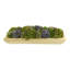 Assorted Sedum and Moss Arranged in Wood Planter-1445777727
