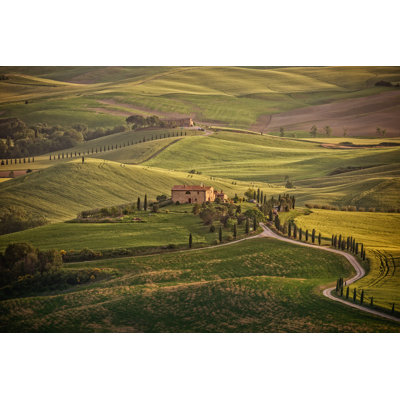 Adepoju " Sunny Afternoon In Tuscany "