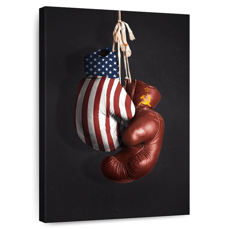 Gants de boxe Cold War, H 45 po x l 30 po