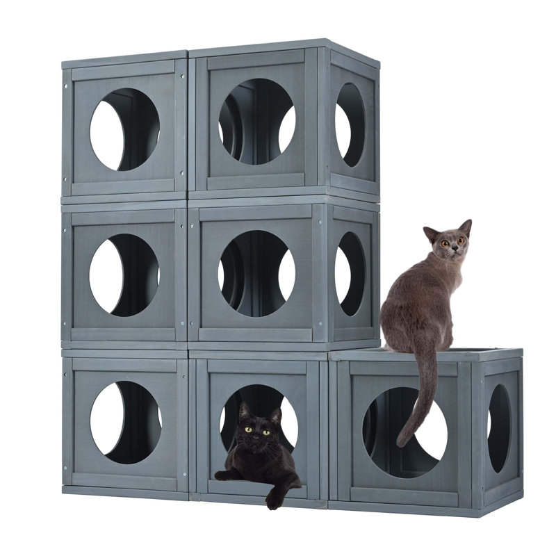 Maison d'extérieur pour chat avec tablettes pour chat