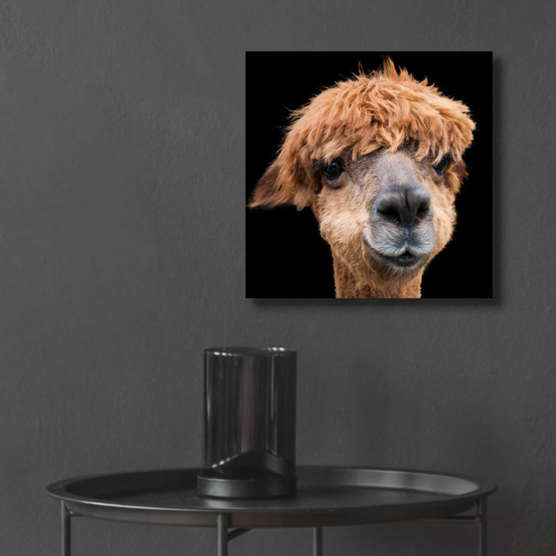 «Hippy Lama» par Epic Portfolio, art mural en verre acrylique, H 12 po x l 12 po x P 0,13 po