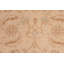 Tapis oriental beige en laine noué à la main 8 pi x 9 pi 11 po Baccio