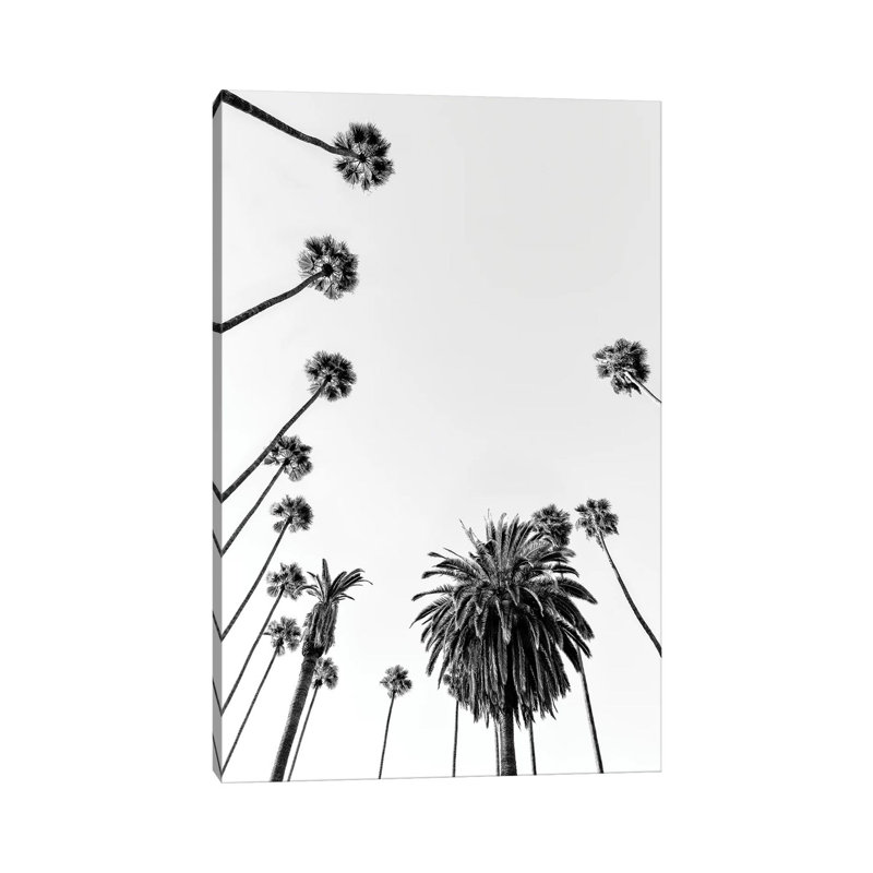 Black California Series - Palm Trees by Philippe Hugonnard - Print on Canvas, 30.48cm H x 20.32cm W x 1.91cm D