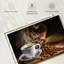 Sur toile-1451807273