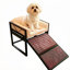 marche pour chien