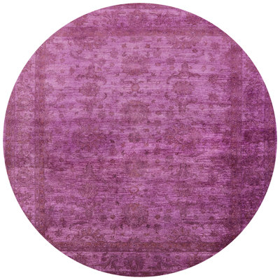 Rudin Oriental Indoor Rug