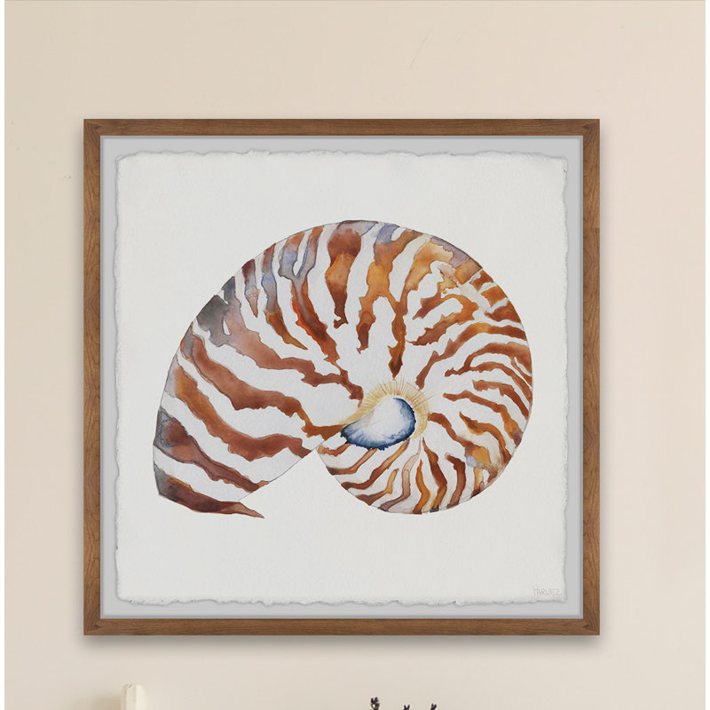 «Tiger Shell», reproduction encadrée, H 12 po x l 12 po x P 1,5 po