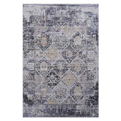 Collection Traditional Area Rug