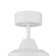 Champion Ceiling Fan with LED Lights