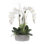 Real Touch Orchid Floral Arrangement in Pot