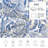 Premium Flannel Lightweight Blanket & 2 Pillow Shams Set with Art Nouveau Blue Rose Line Art Motif, Ultra-Soft & Warm Cozy Bedding Set for All-Season, 60" x 80" Blanket + 2 Pillowcases Anti-Pilling & Machine Washable(Set of 3)