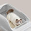 Litter Box with Scoop-120039321