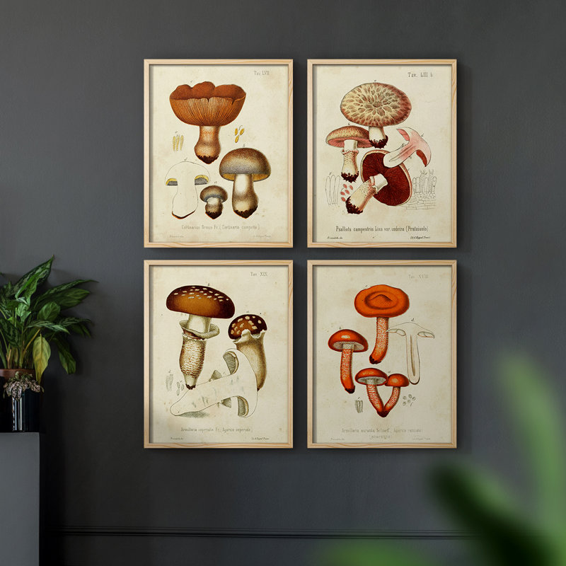 «Mushroom Variétés I», ensemble de 4 encadrées, H 14 po x l 44 po, Naturel