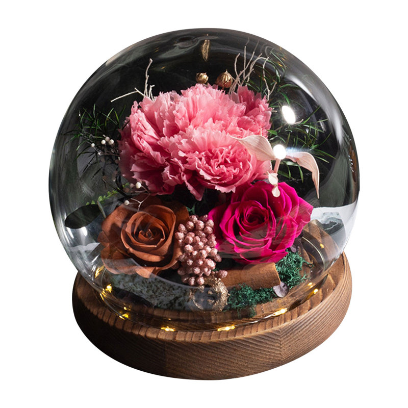  Rose avec lumière DEL pour la Saint-Valentin, Pink
