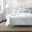 Bleuet rustique chalet bleu-101883974