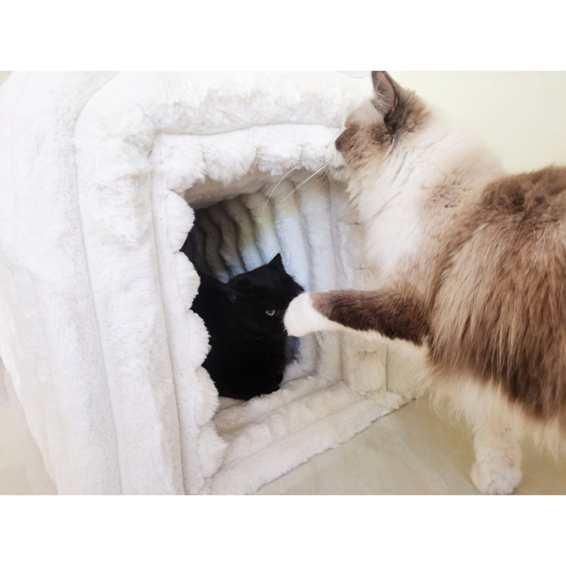 Banc en velours côtelé pour animaux avec rangement - cachette pour chats dans le vestibule, la chambre à coucher et le salon