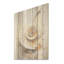 Escargots abstraits Nautilus I - Nautilus, art sur bois de pin naturel-309897824