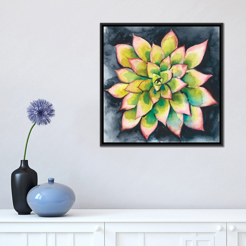 « succulent rosette iv », impression sur toile, H 12 po x l 12 po x P 0,75 po, Toile tendue, Pas de tapis