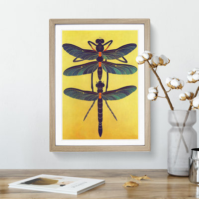 Noble Dragonflies - Framed Print