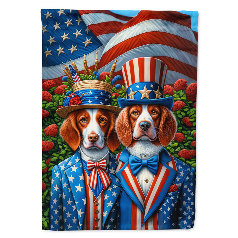 Drapeau «All American House», Brittany