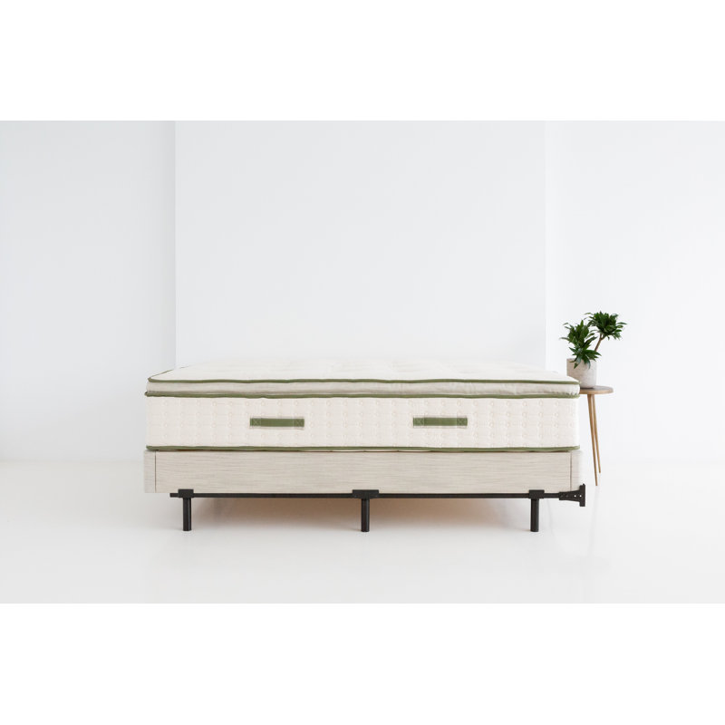Avocado Green Mattress, Twin XL, 13"