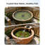 Weather Resistant Fountain