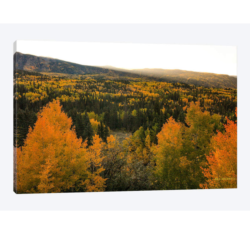 « automne lever » par bill sherrell, reproduction d’impression sur toile tendue, H 16 po x l 24 po x P 1 po, Blanc