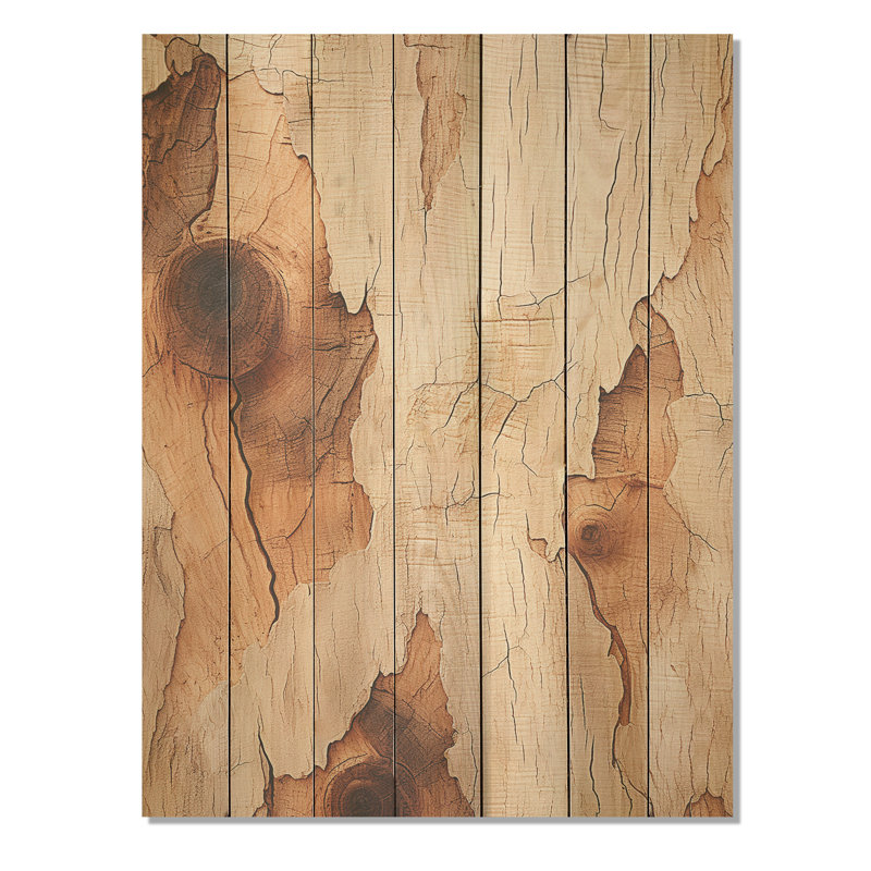 Brown Tree Bark Essence IV - Arbre sur bois, H 20 po x l 10 po