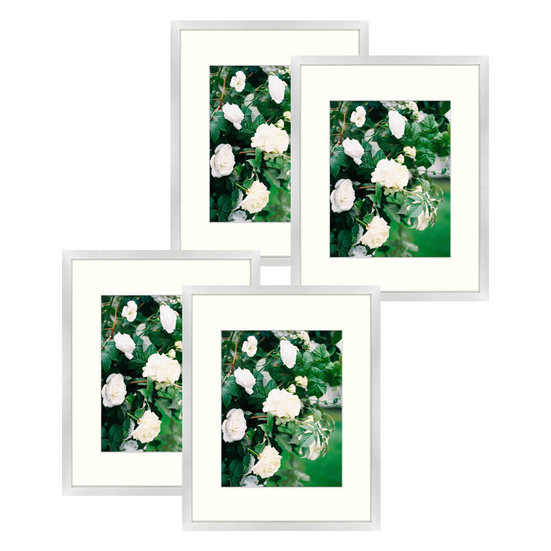 Matte Gallery Wall Hanging Picture Frames - Basics by Wayfair™, 16" x 20" Matted to 11" x 14", Gold