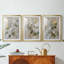 FLORAL Series CCLVI - Impression encadrée sur mesure de qualité supérieure - 3 pièces-2062514797-2062514786
