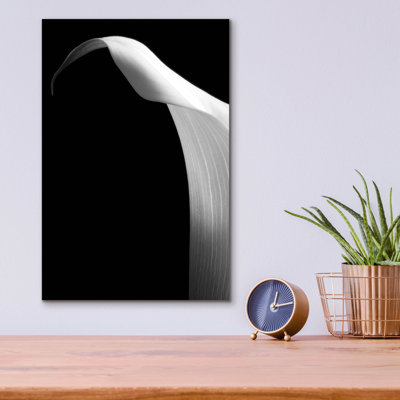 "Lily On Black 01" par Tom Quartermaine