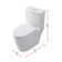 Elegant Lighting Winslet 1.2 Gallons GPF Elongated Comfort Height Floor Mounted Kit (Seat Included)