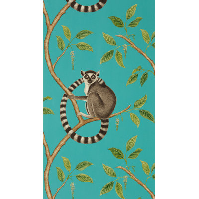 Ringtailed Lemur 10.05m x 52cm Matte Wallpaper Roll