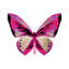 Radioactive Butterfly III Print by Mari Urasawa-26931615-26931623