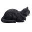 Chat tigré noir et blanc au repos-126248604