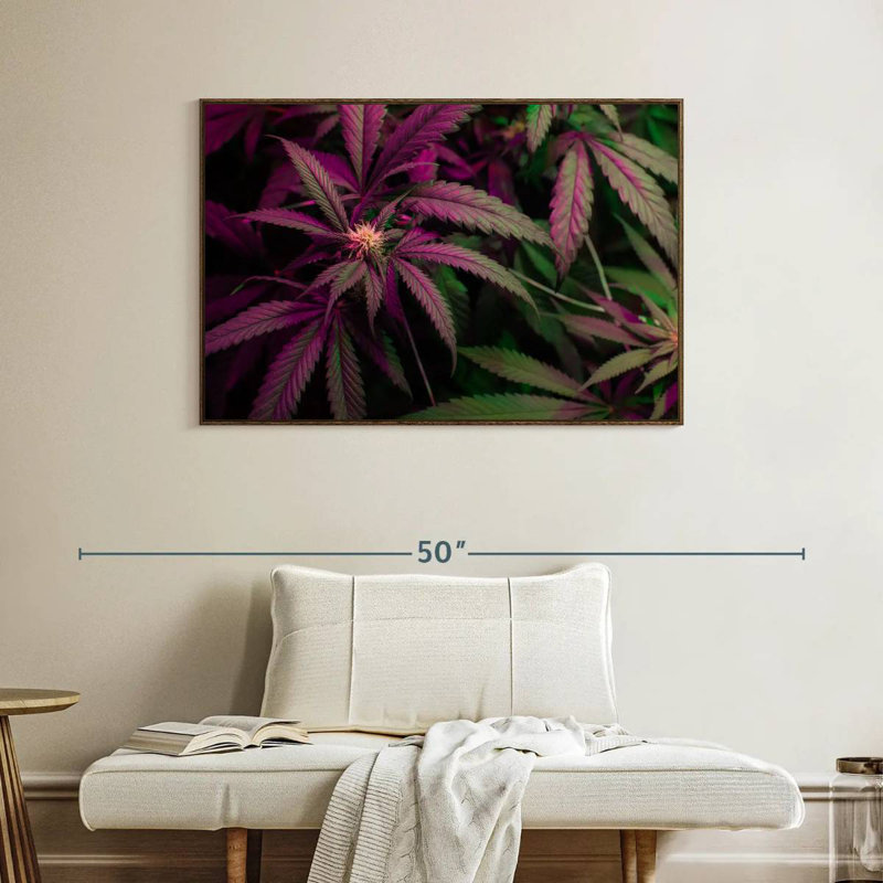 Lavande, marijuana, Cadre flottant en noyer, 40 po x 27 po