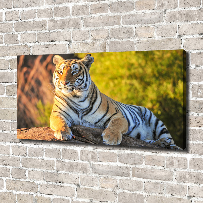 Portrait Of A Tiger - Wrapped Canvas Print