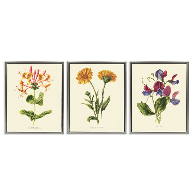 Ensemble de cadres flottants 3 pièces Vintage Flowering Plants, conception par Connie Resch, H 31 po x l 25 po