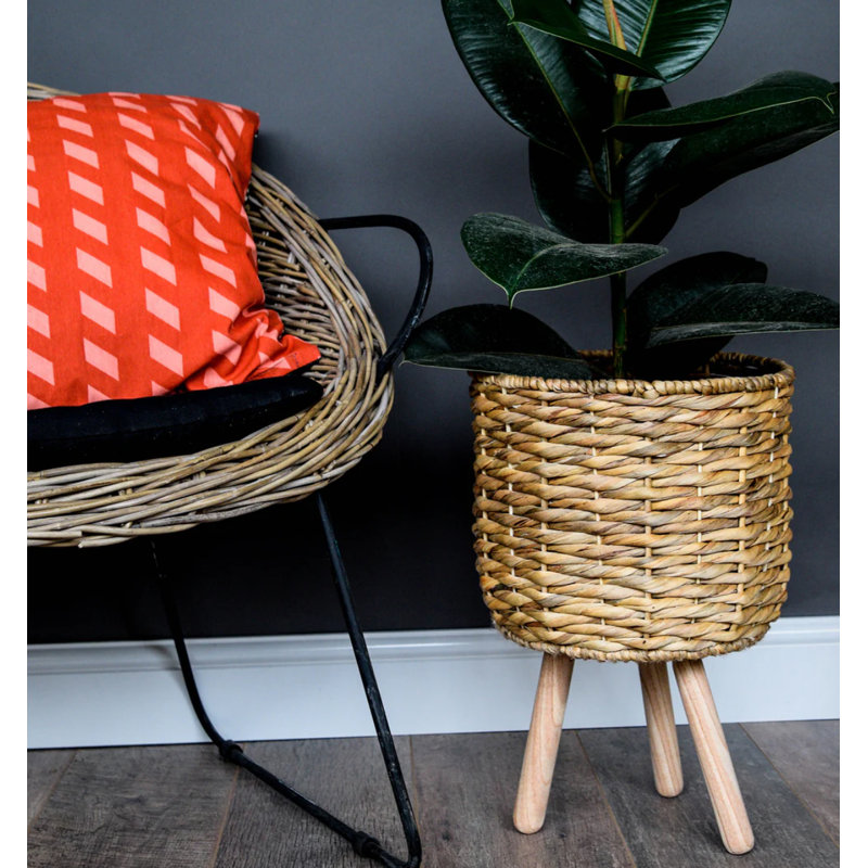 Plant Stand