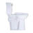 Extra Tall Two Piece Toilet with 21 inches Elongated Bowl Single 1.28 GPF Front Flush