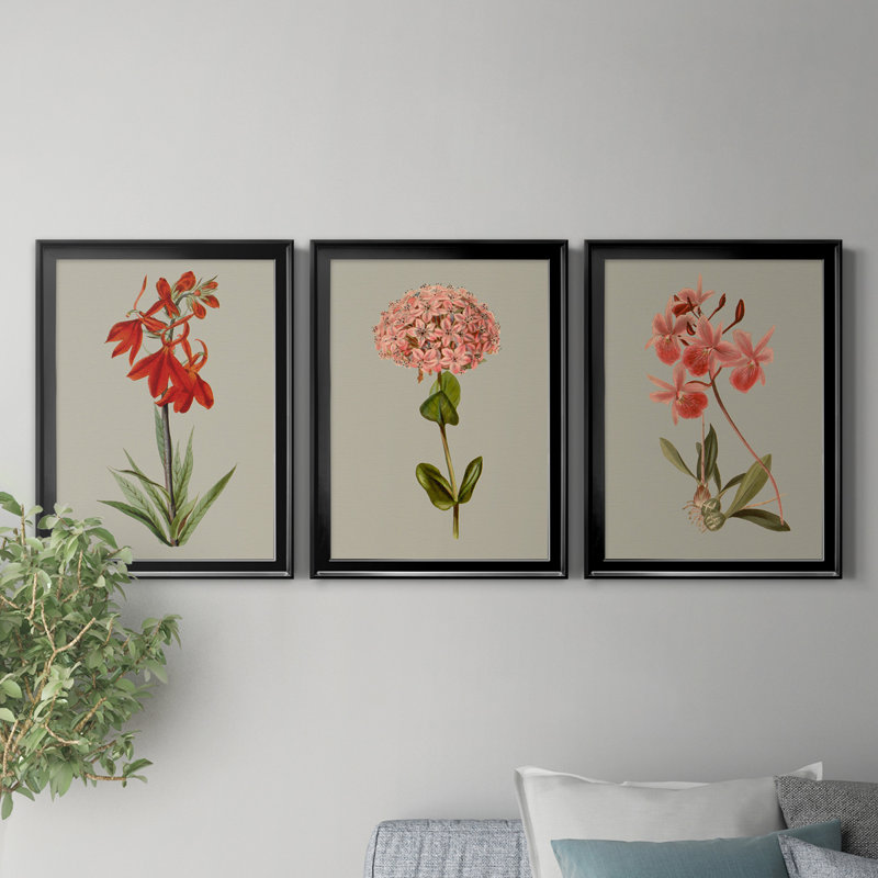 «Botanical Array VII», ensemble de 3 impressions sur toile encadrées, Toile avec cadre noir, H 18,5 po x l 73,5 po x P 1,5 po