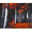 Napperon Mysterious Forest