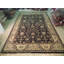 Agra Hand Knotted Wool Oriental Indoor Rug