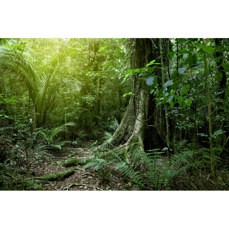 Arbre dans la jungle, L 12 po x H 8 po