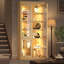 Display Cabinet