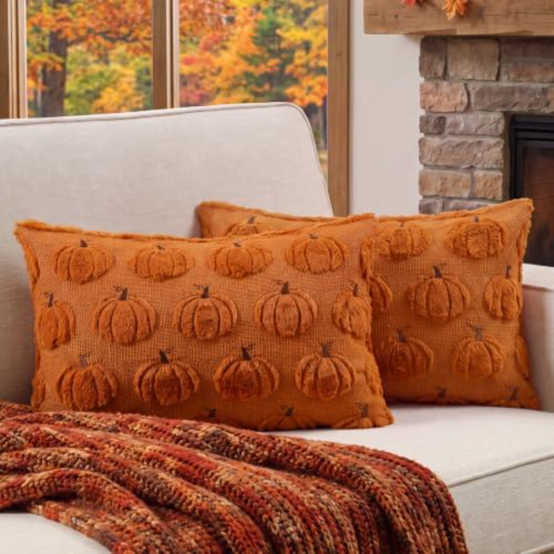 Pillow Cover