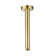 Rain Fixed Shower Head