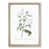 Oak Framed selected