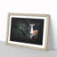 Curious Fawn - Framed Print-56916752-56916757